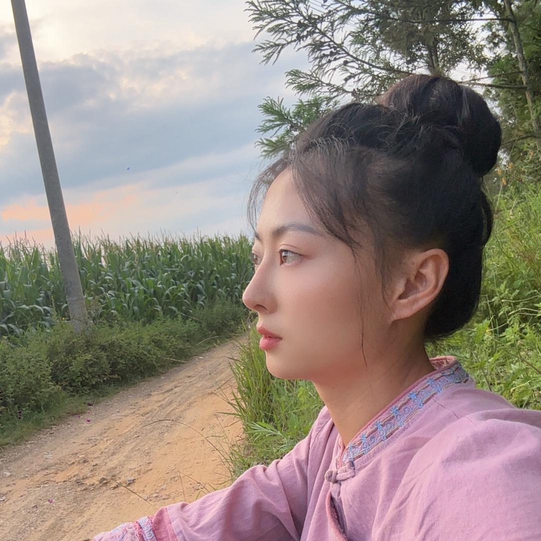 严如意