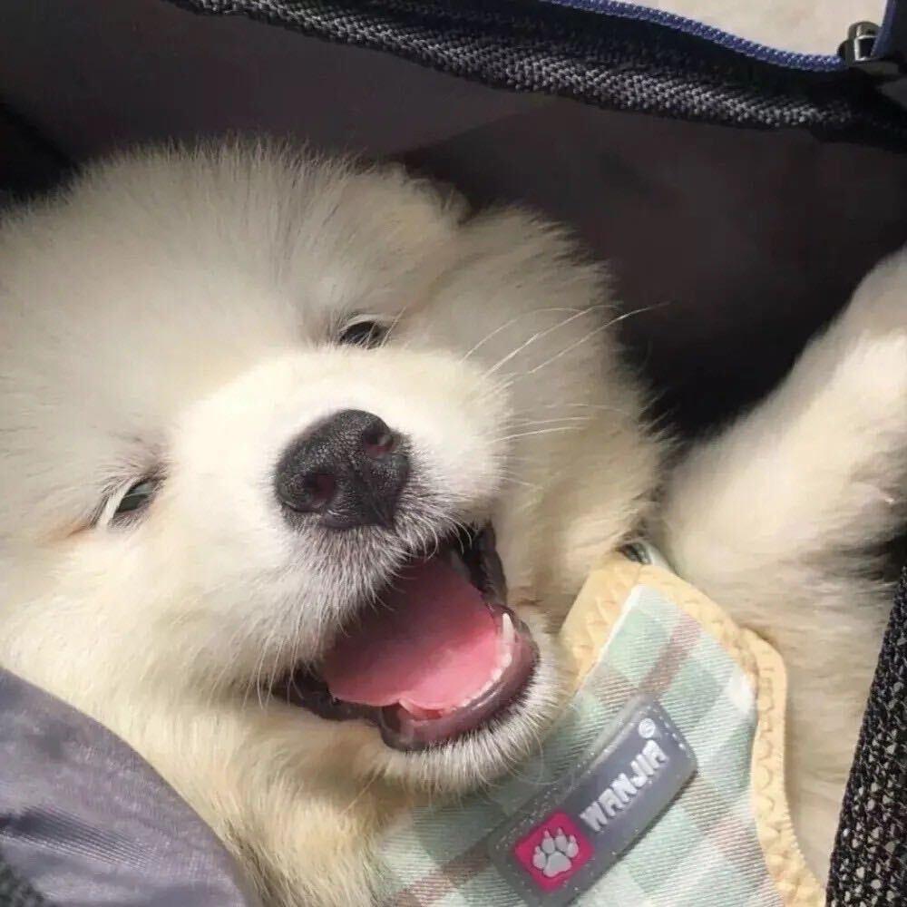 我需要一个亿ㅤ