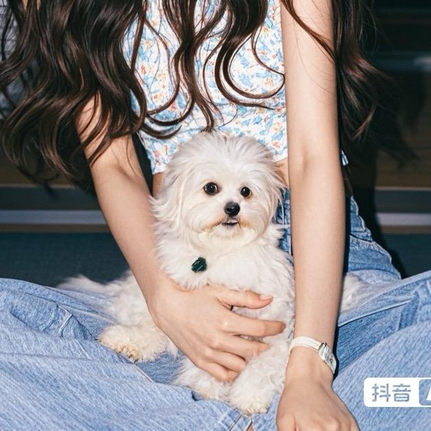 99年待产小孕妇（孕中期)