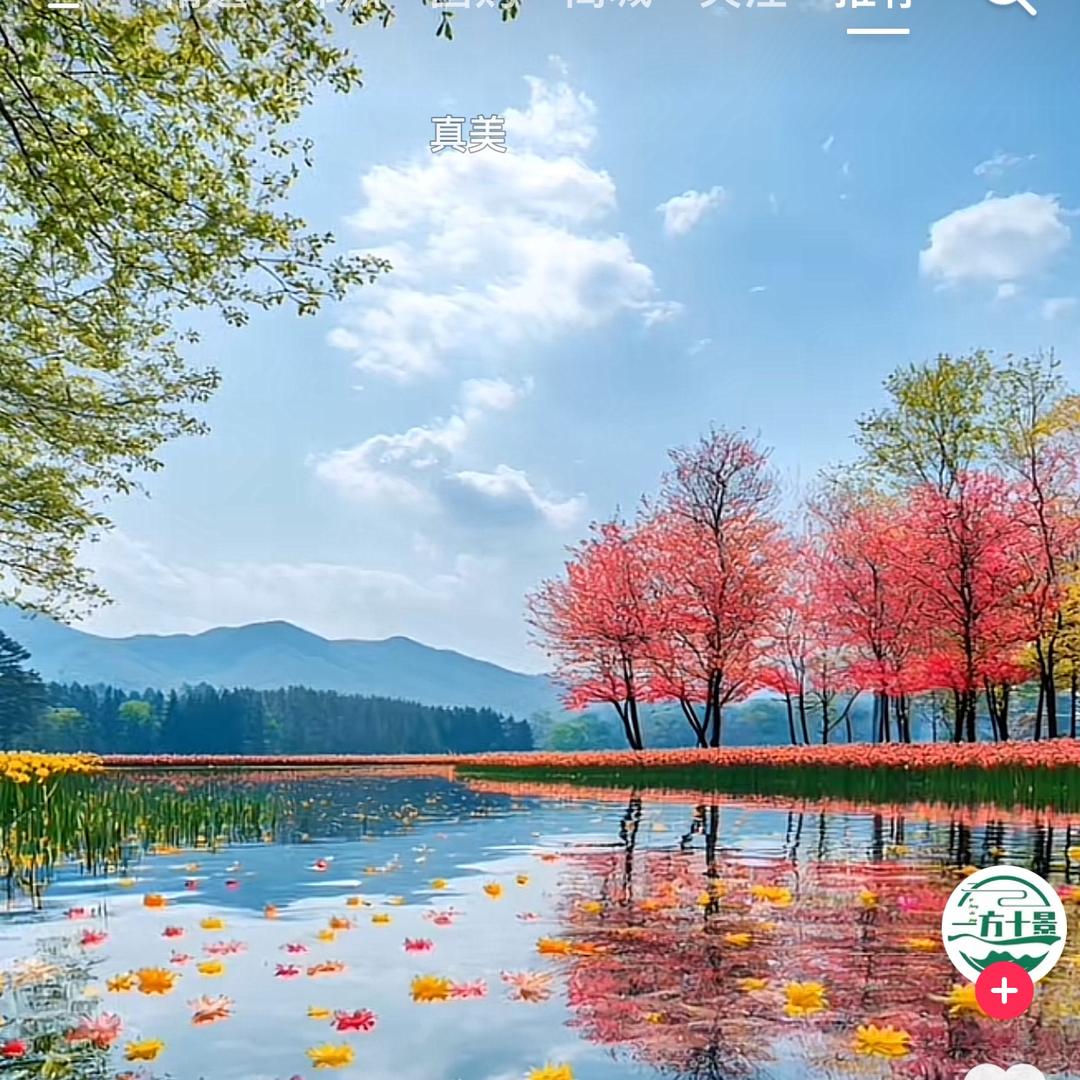 健康就好