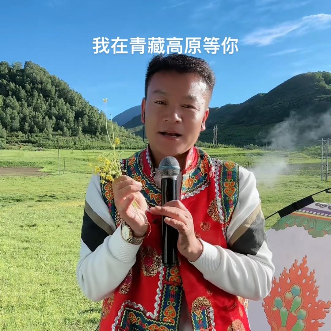 格热🎤