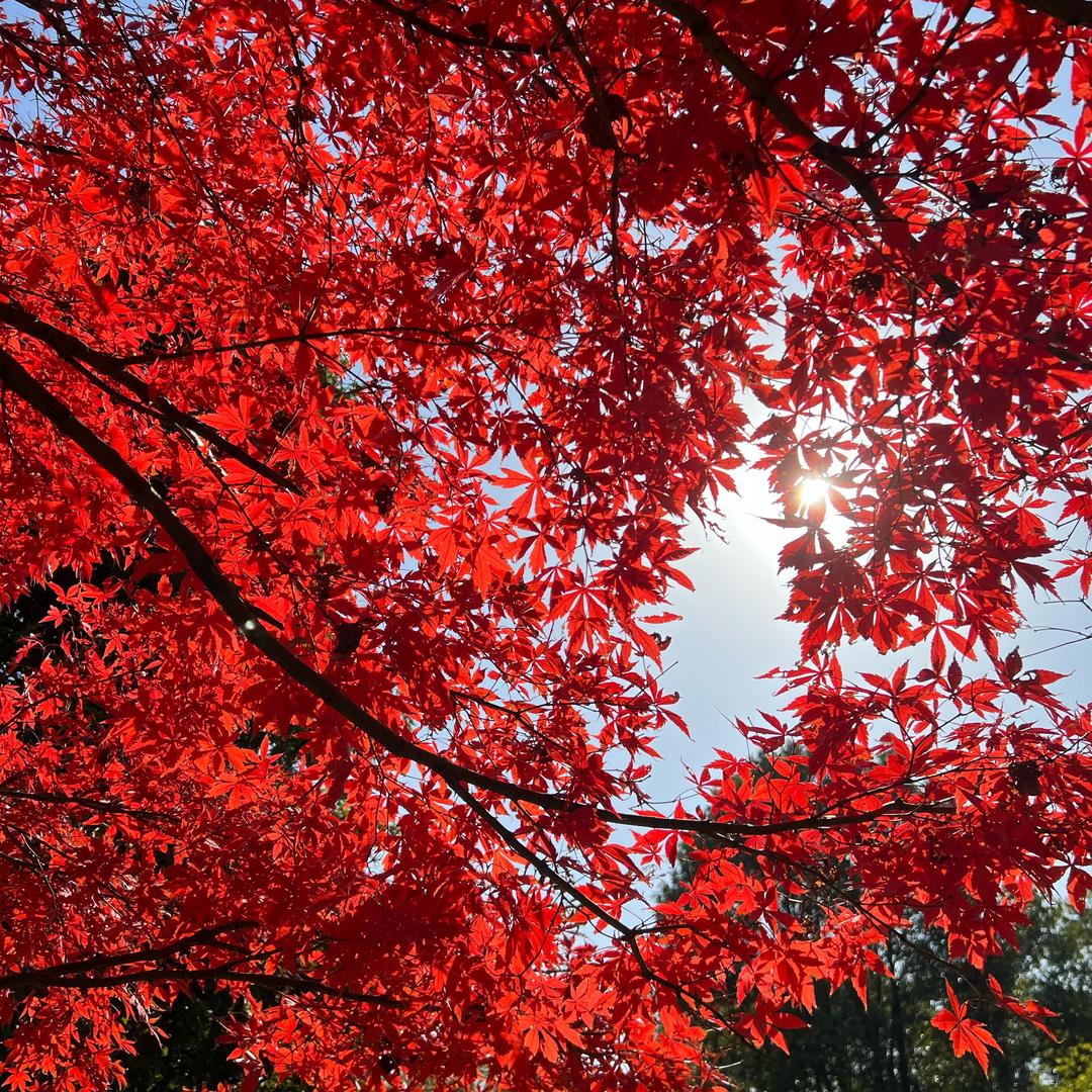 煦.