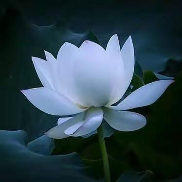 万邦汽修