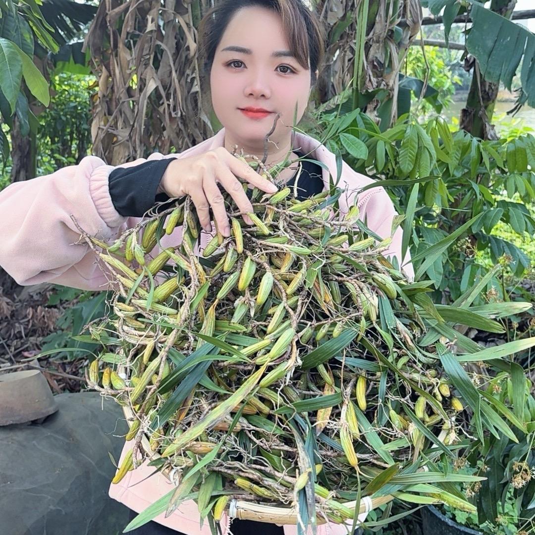 连妹山野土特产甄选