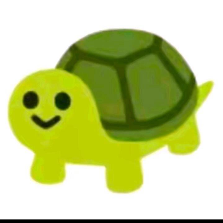🐢
