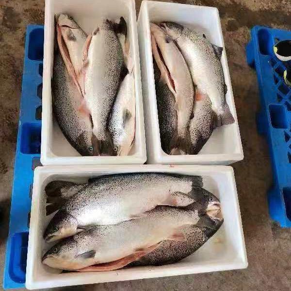 小甜水
