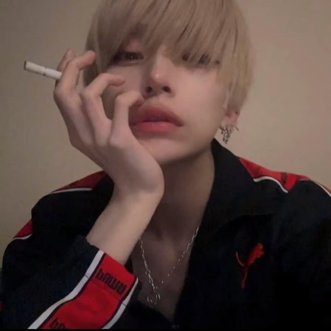 鲨鲨哥