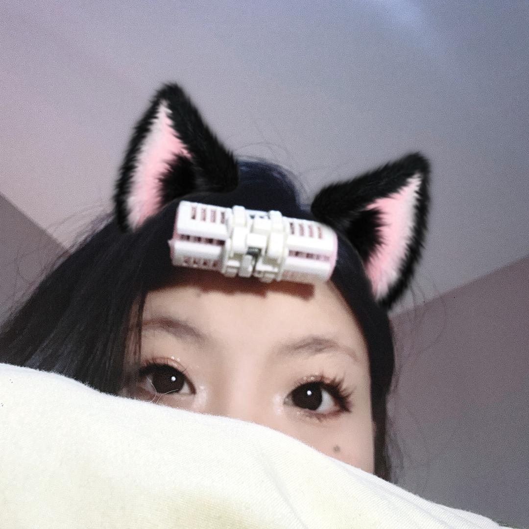 美丽鲨鱼🦈