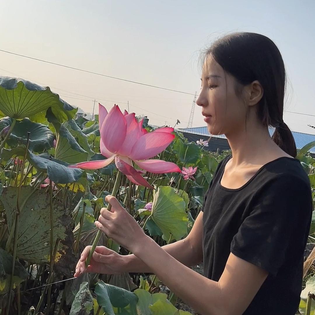 章淡淡
