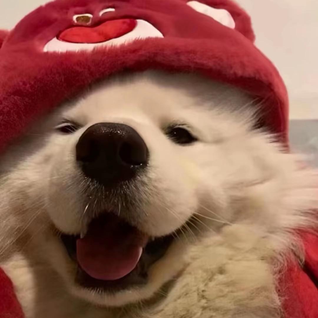 沈阳租房墨镜姐