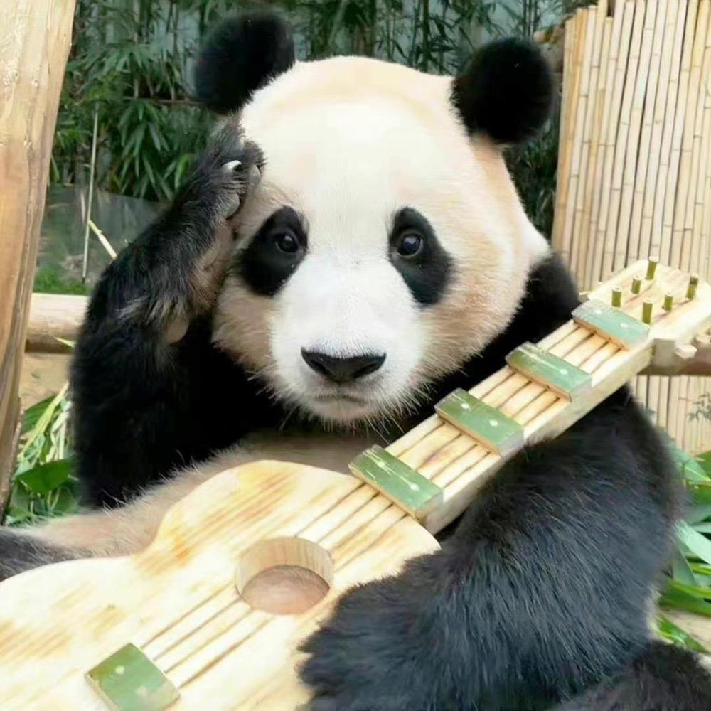 吃肉会长胖