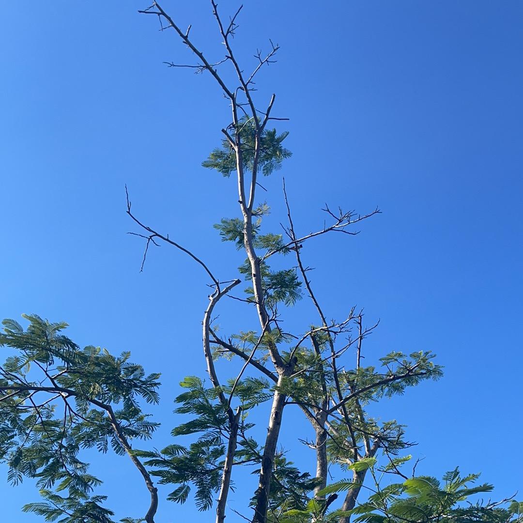 钰珠🦋