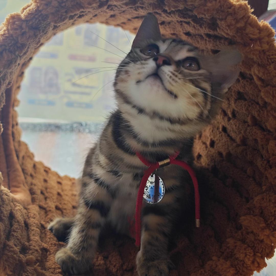 固安县小苍优选生活超市