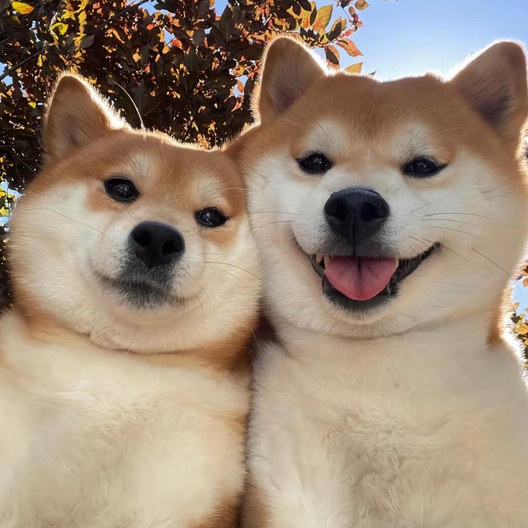 ㅤㅤ   ㅤ ㅤㅤㅤㅤㅤ