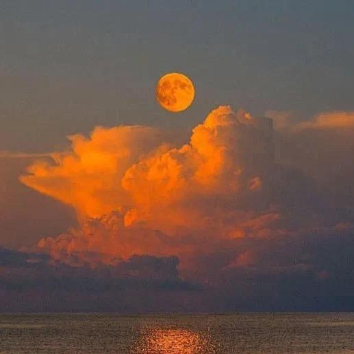 小楼又东风☁️