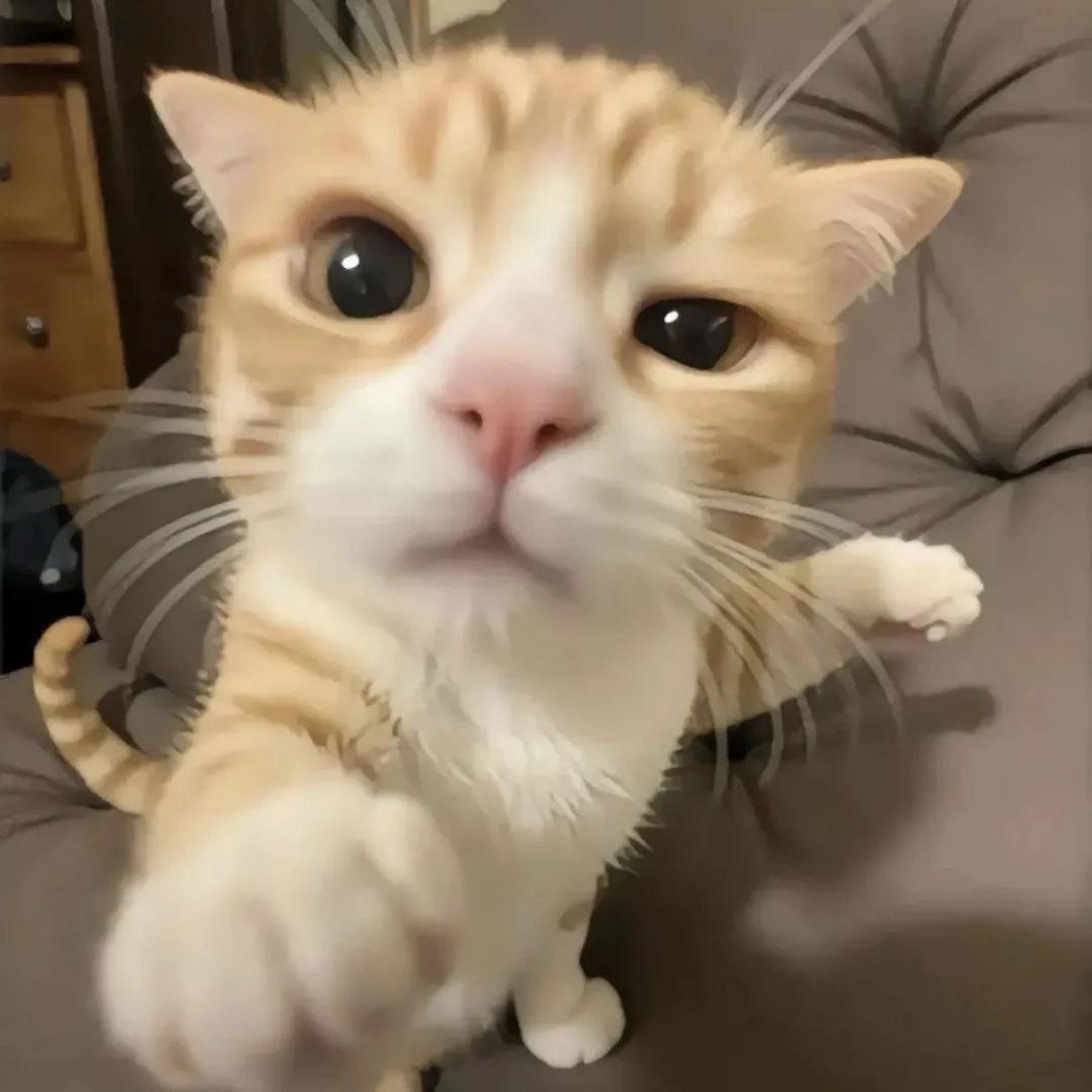 星河滚烫水冰凉