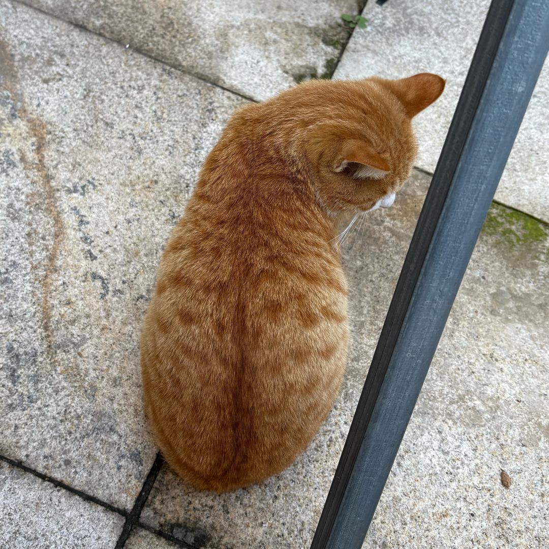 乳牙嗯