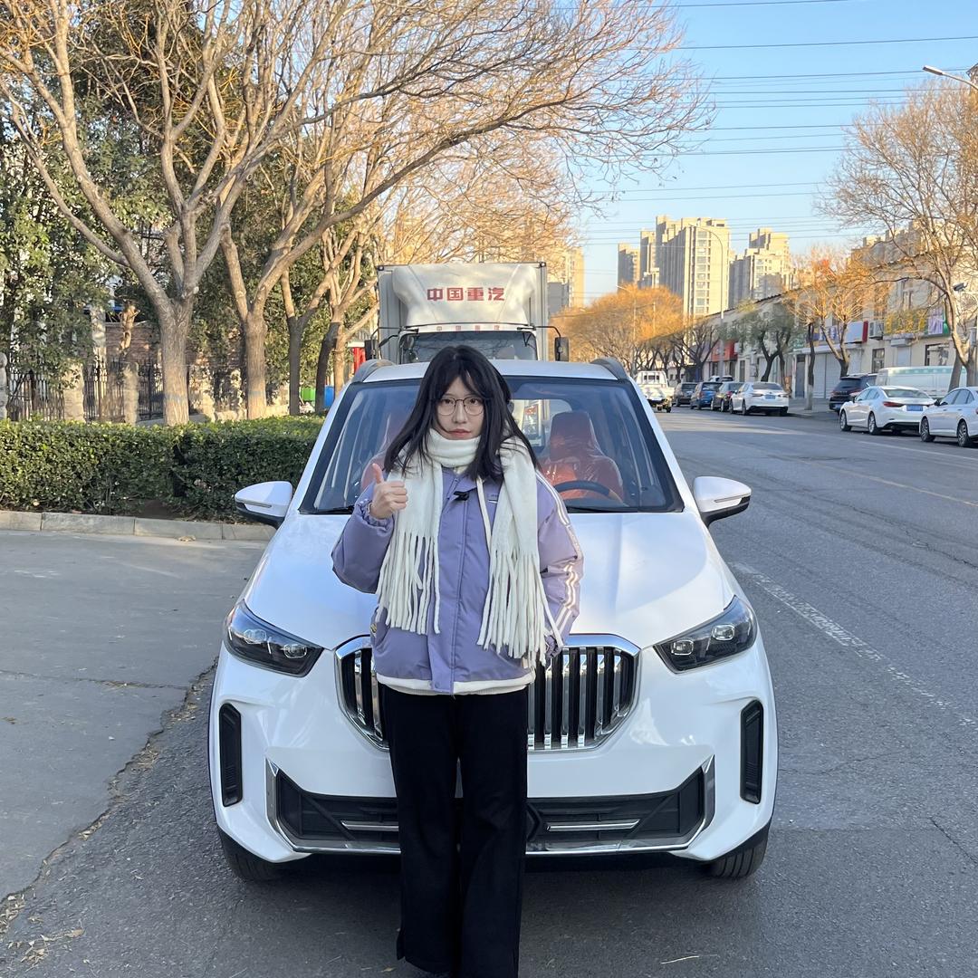 挎吴新能源厂家