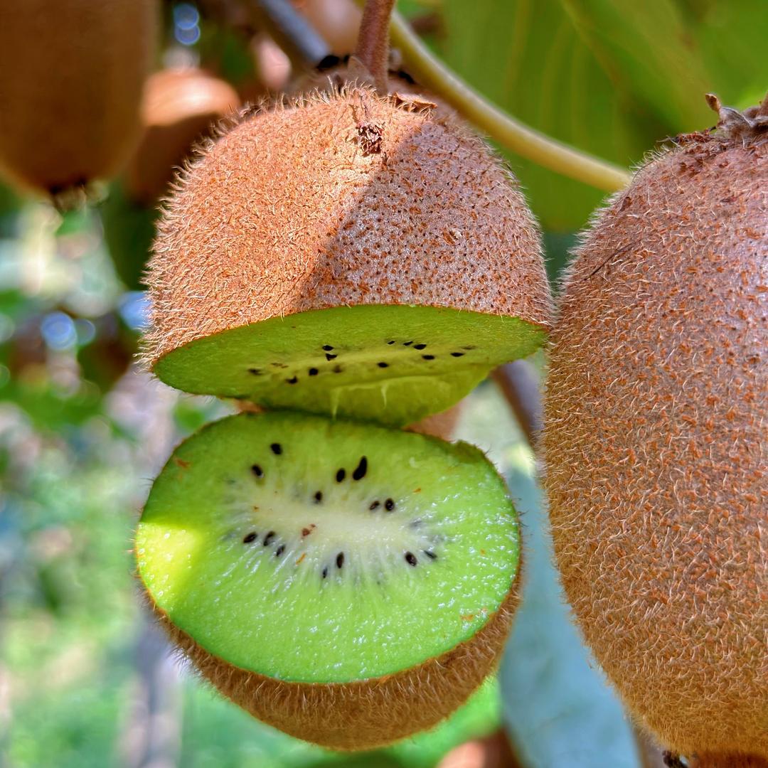 聚品鲜生鲜企业店