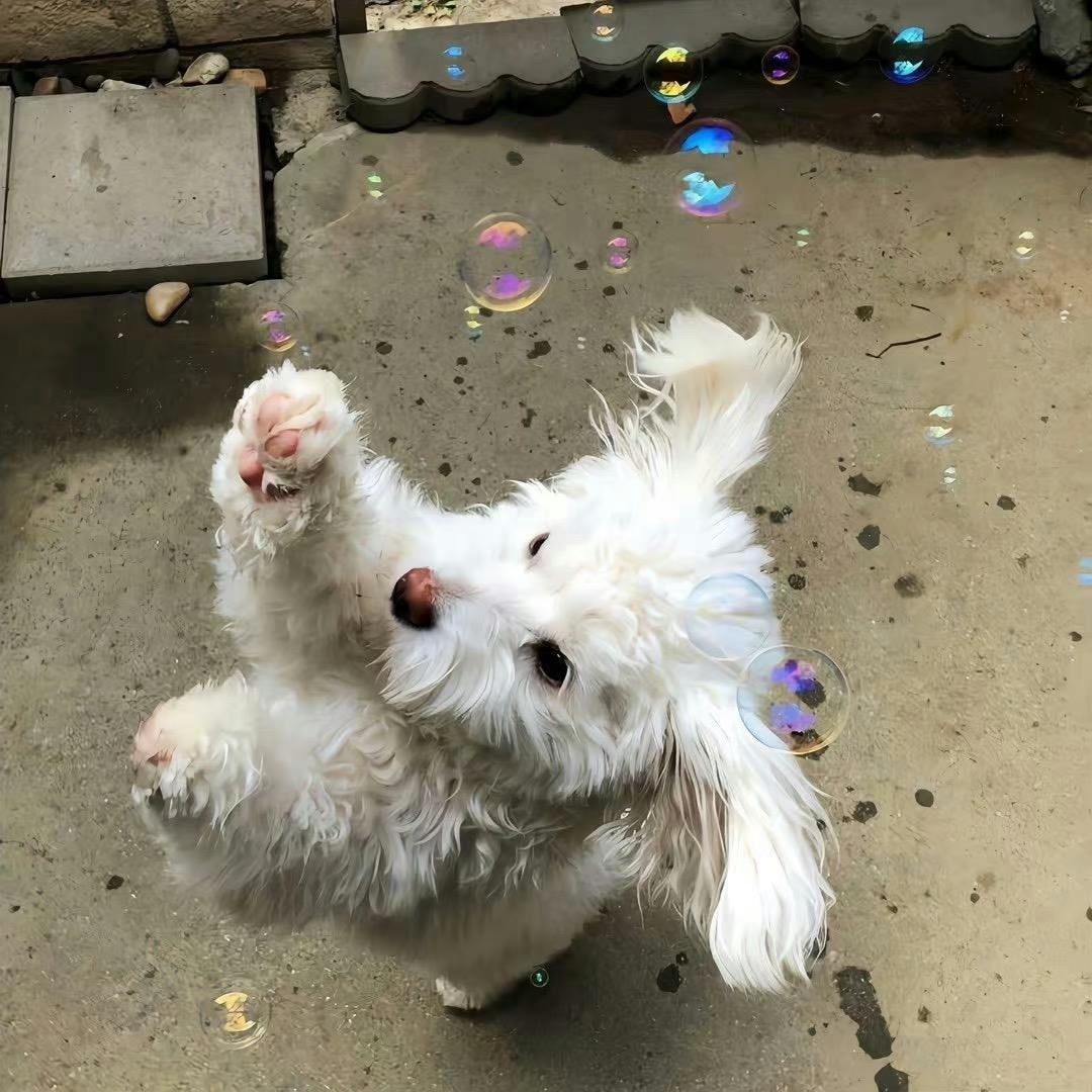 : )