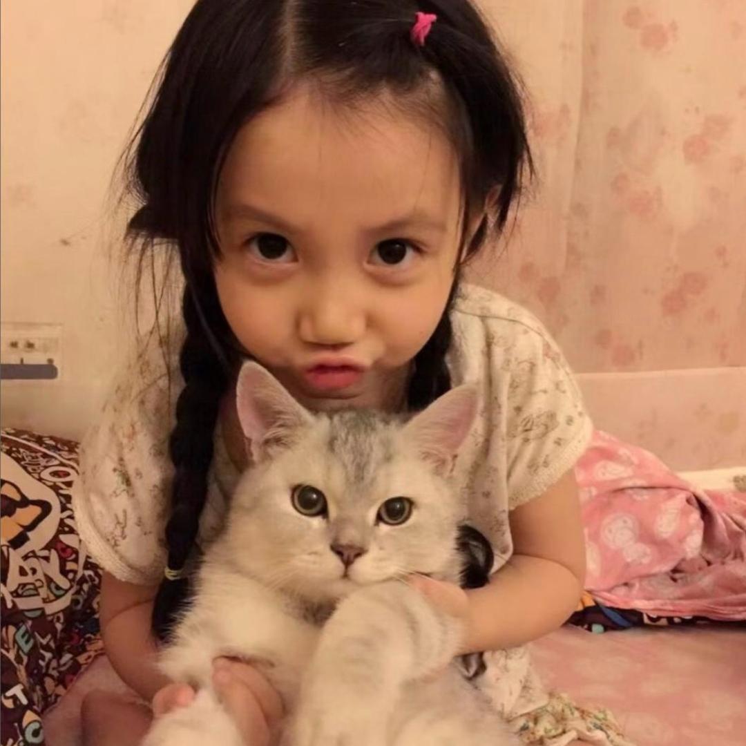 人生若只如初见