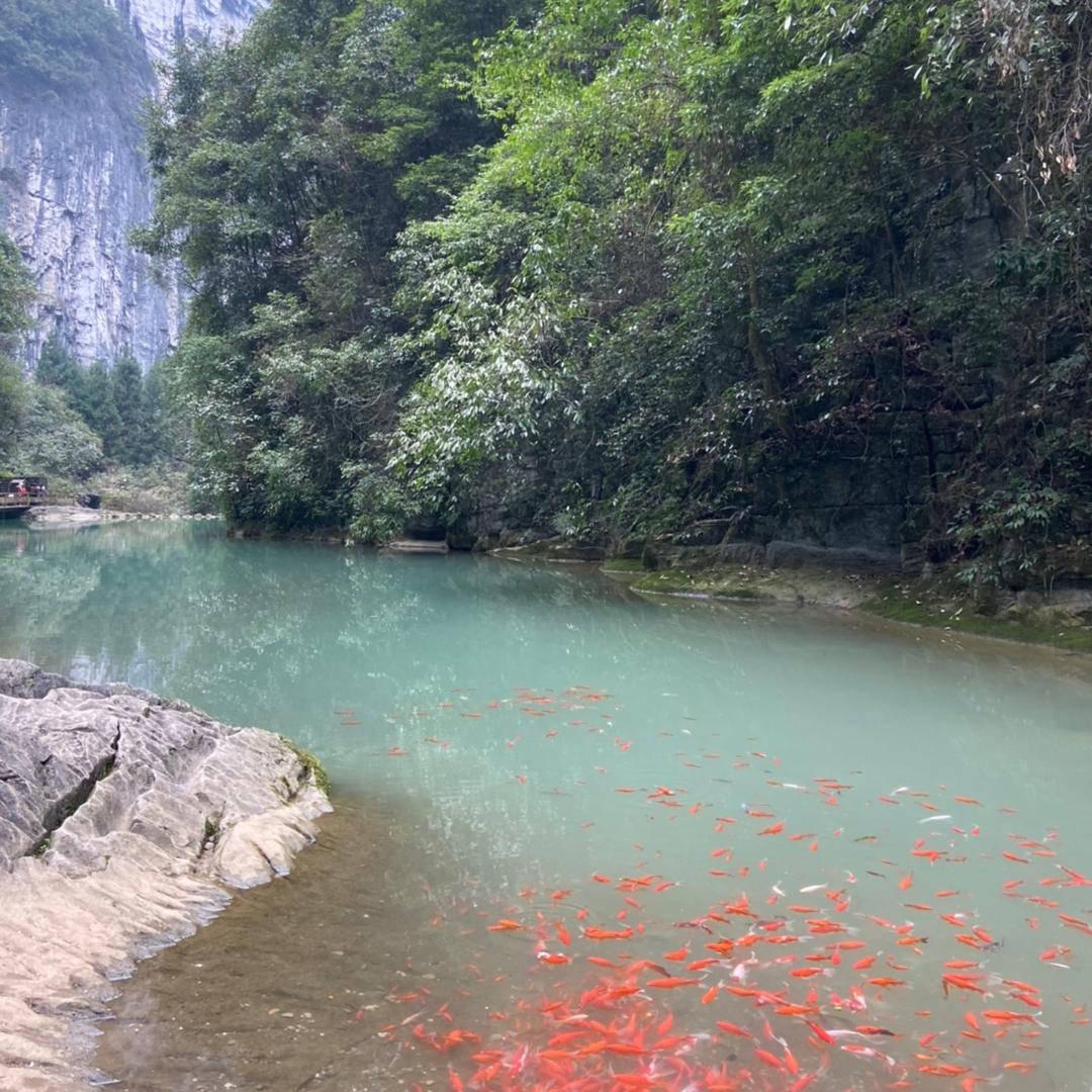 小健健捡石头