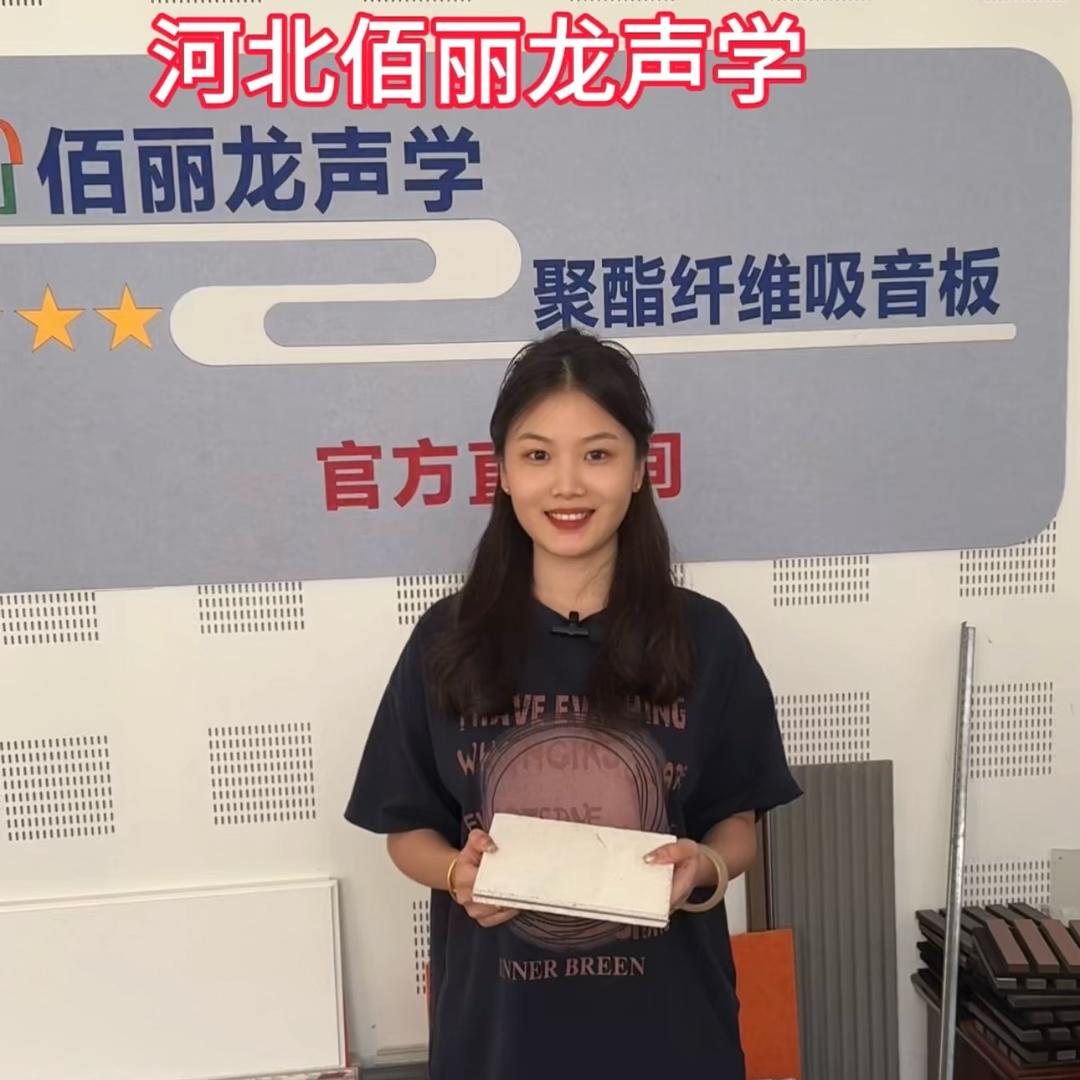 聚酯纤维吸音板（佰丽龙声学）