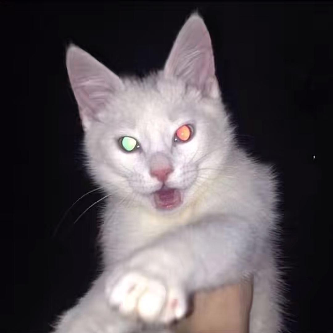 626