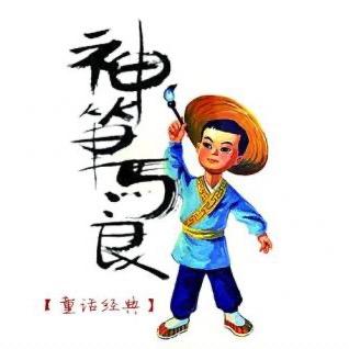 马良考编
