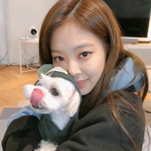 5U🐑