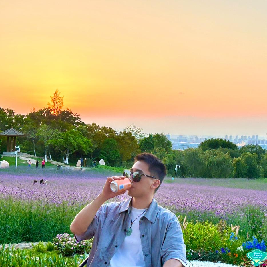 扬帆在夏