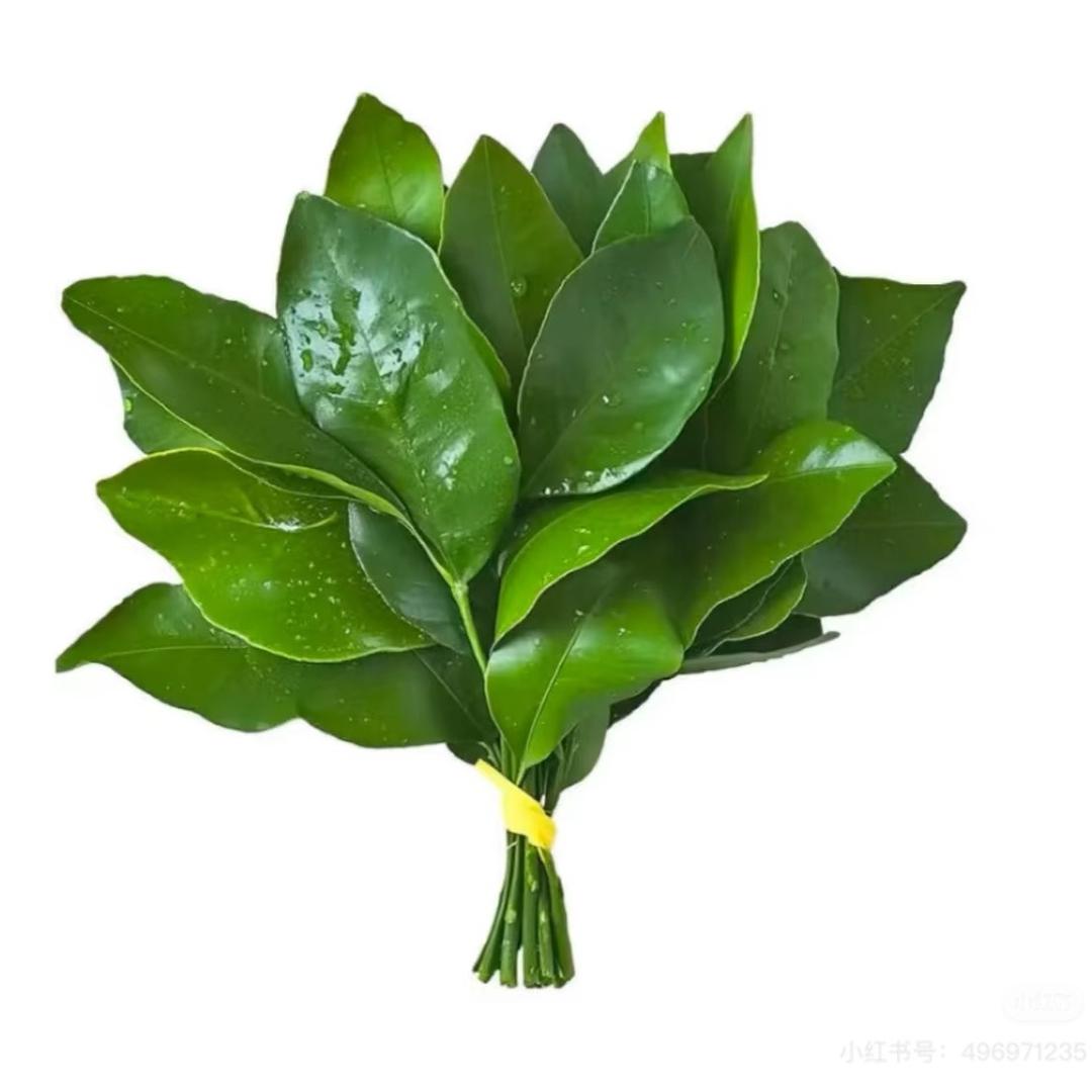 qqq