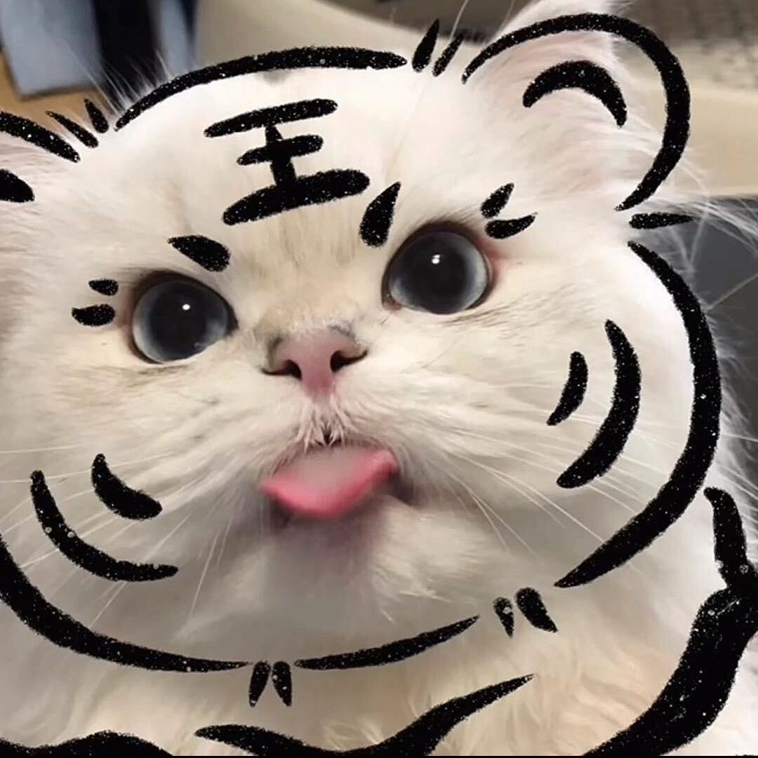 户外小宝