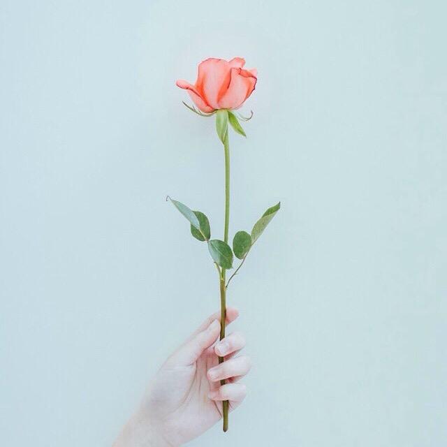 张先生       🍀