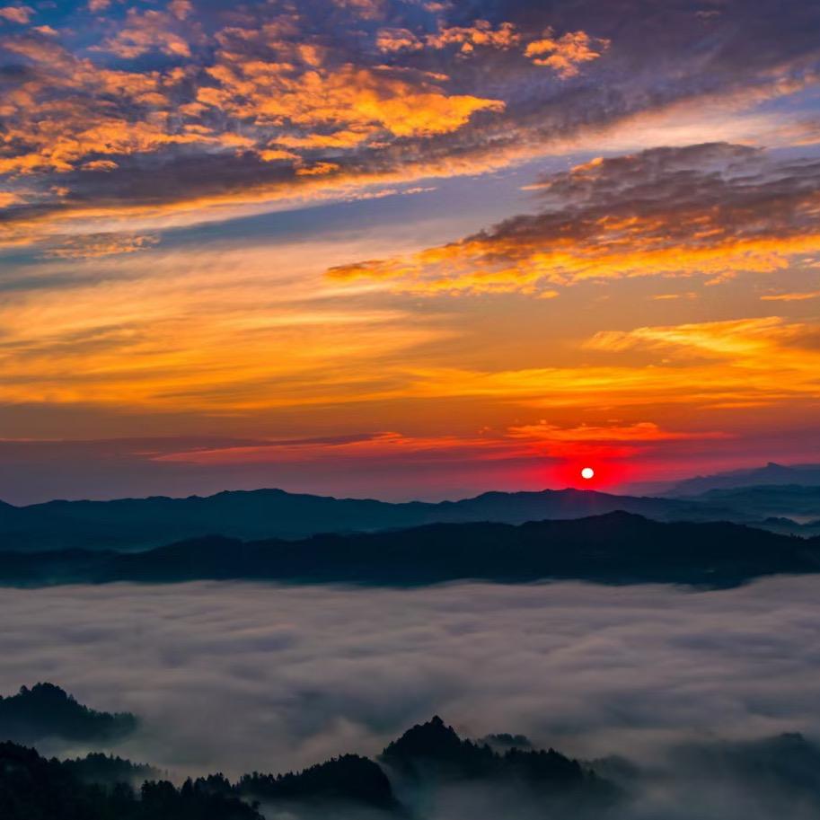 YAKIMA山东销售中心