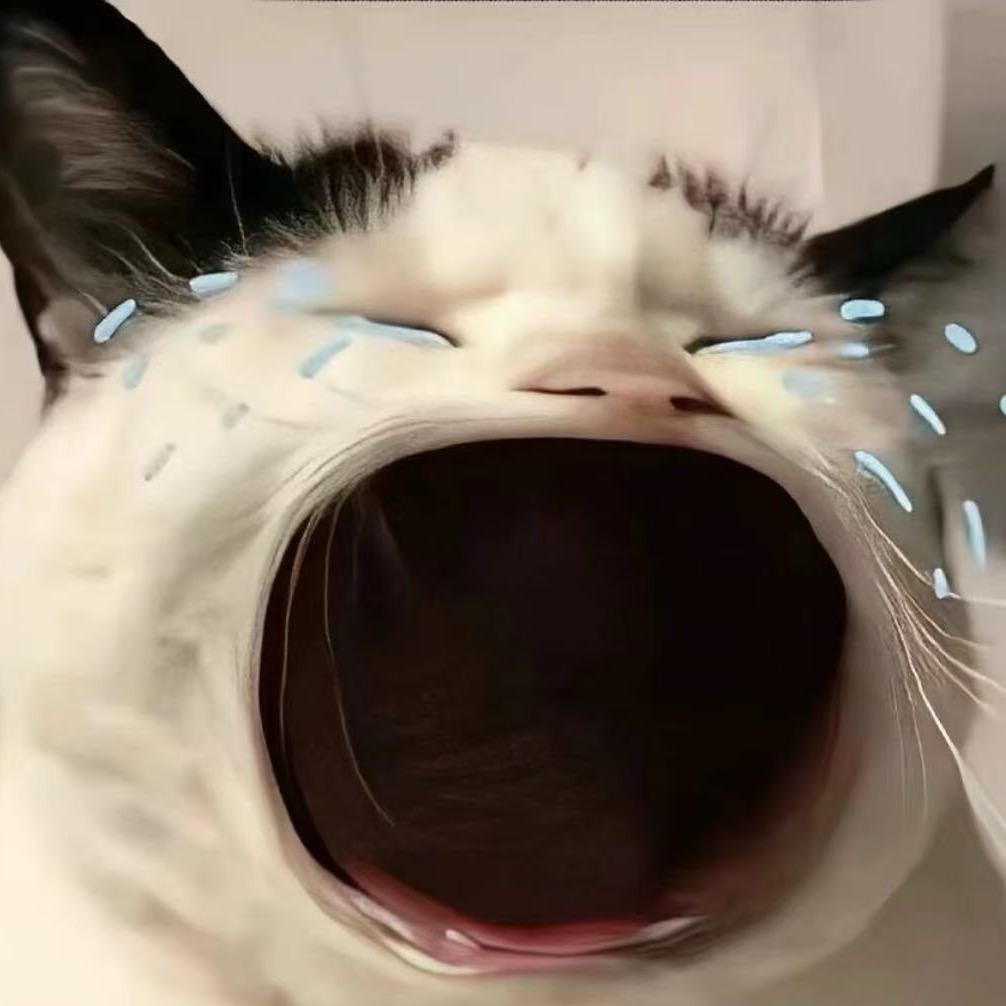 菠萝吹雪🫤头像
