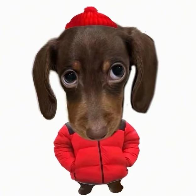 人傻嘴不甜长的丑还没钱