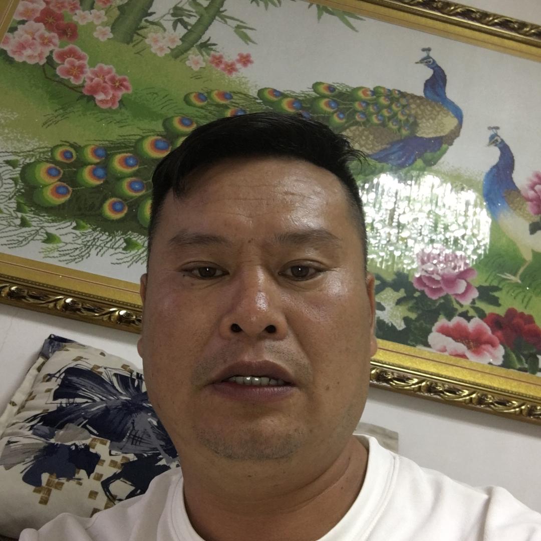 经济联盟。金也