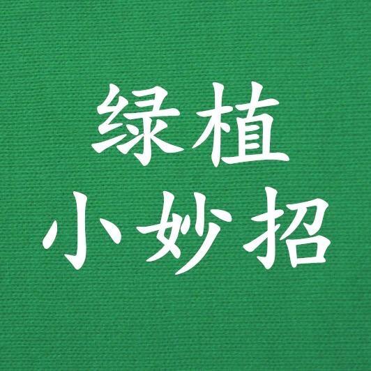 花管家绿植花卉