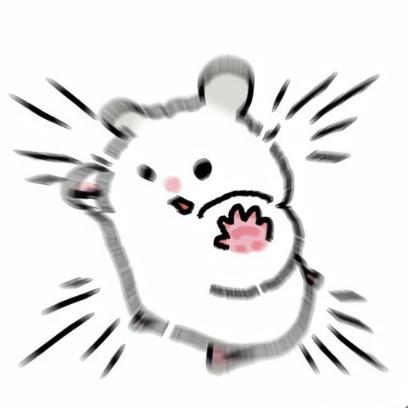 西贝