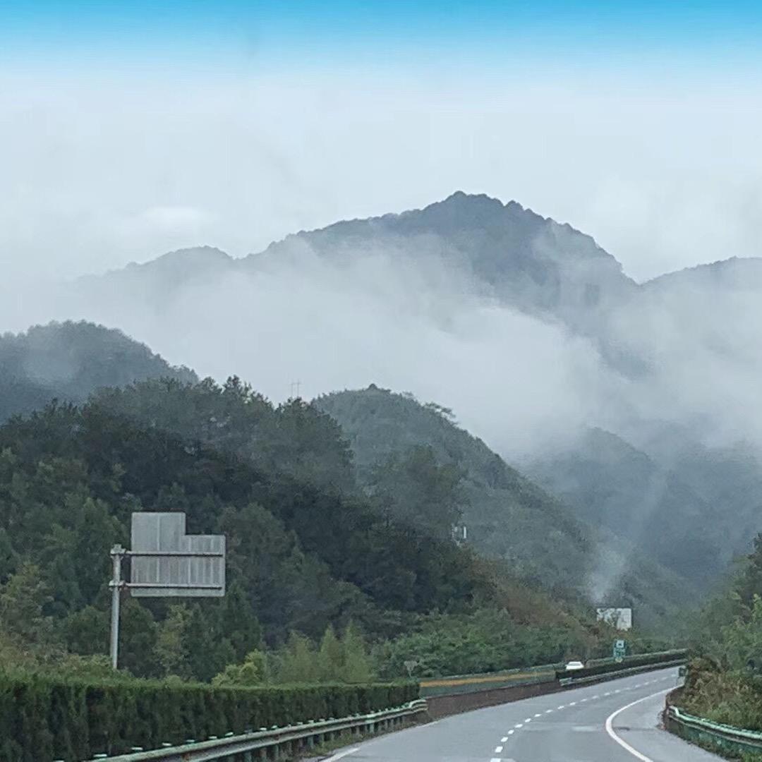 已重置