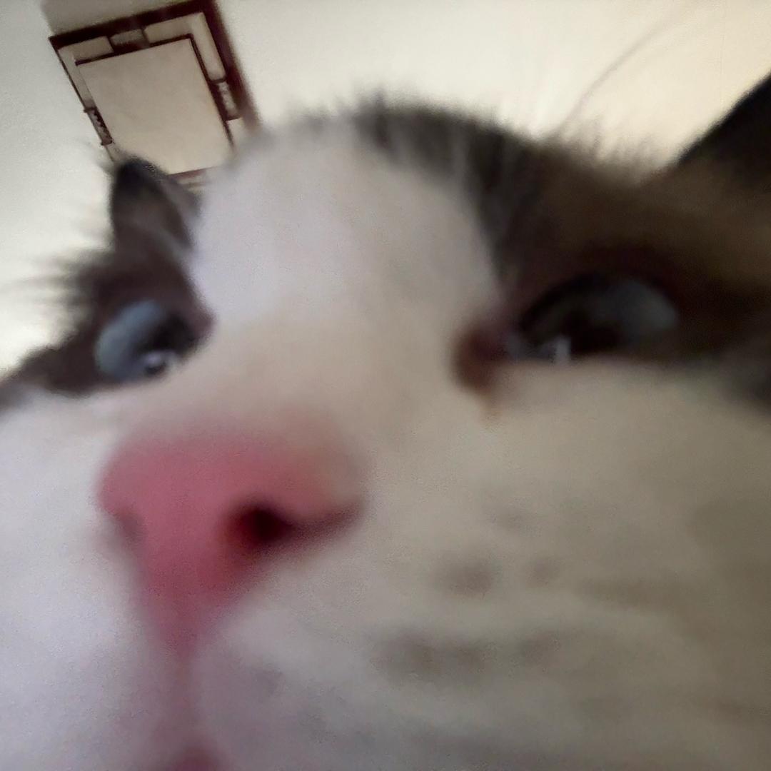 ZYZ