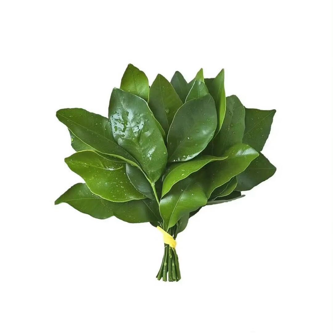 你不清醒123（Krien）