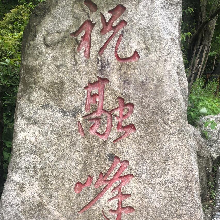 ꧔ꦿ᭄💞顺理陈张🕊꧔ꦿ᭄💞