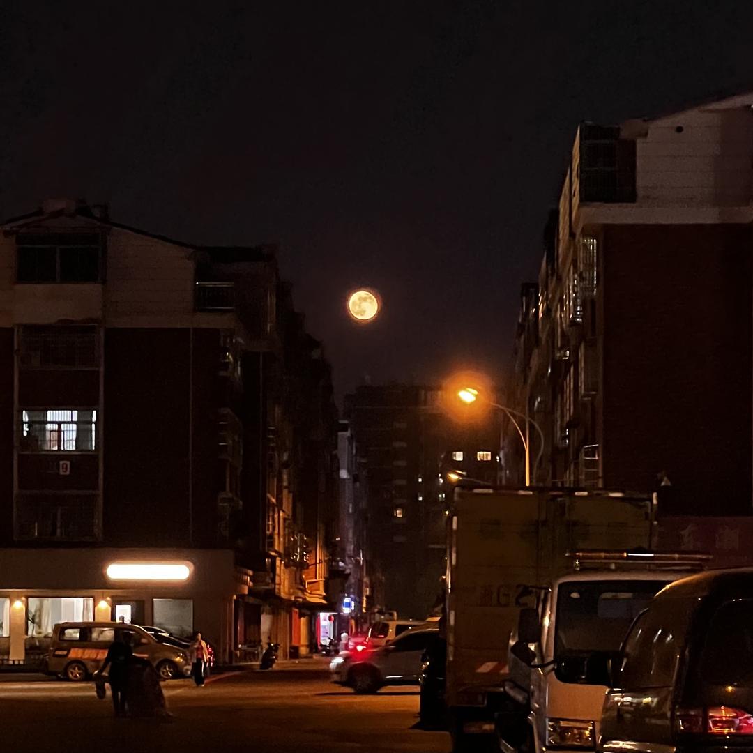 环游饰界