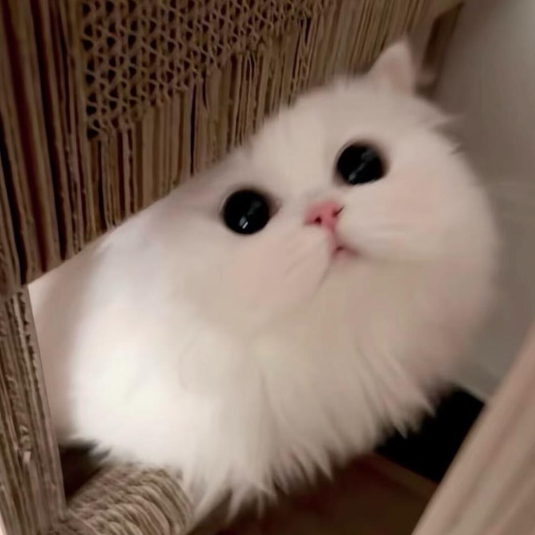 晚安小静