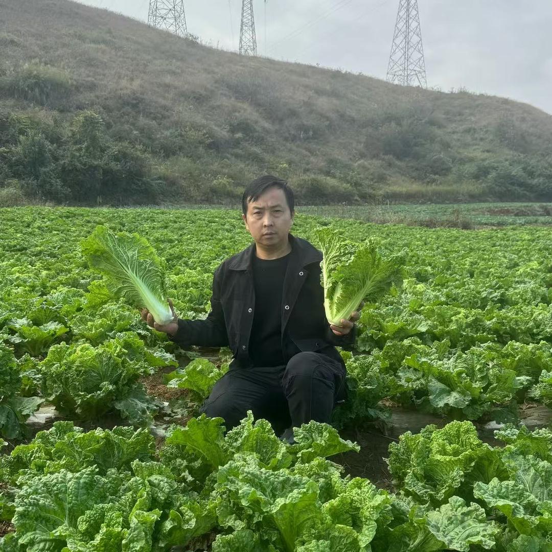 小山蔬果园