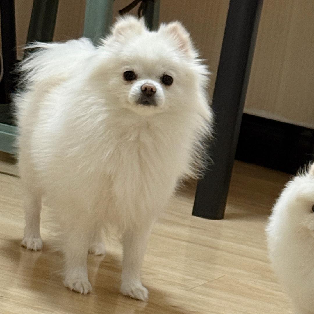 糖糖宝宝