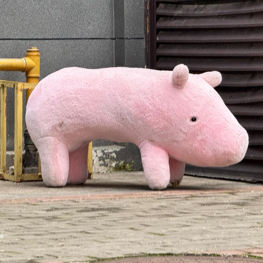 少管我
