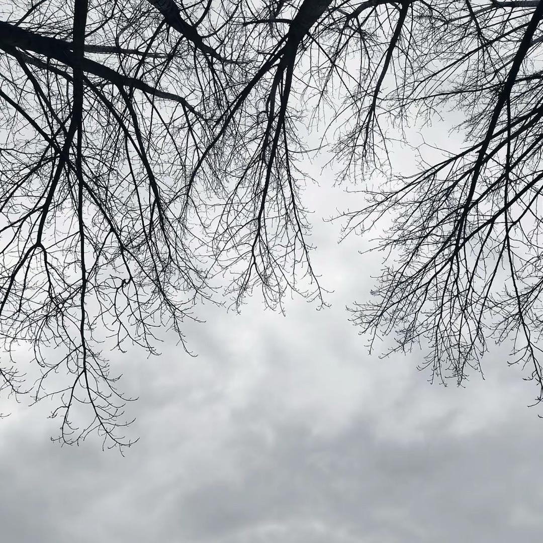 77·×·